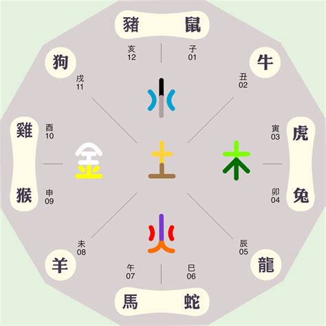 寅五行|十二地支｜寅木：正能量的化身，是身边的喜